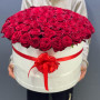 101 красная роза в коробке