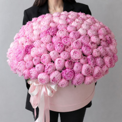 101 розовый пион в коробке